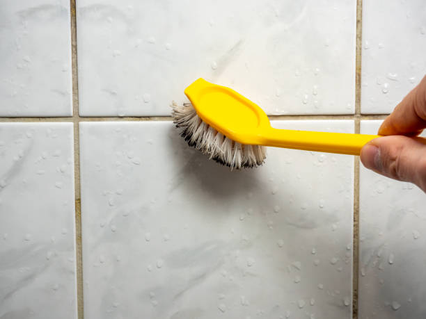 Best Health and Safety Mold Remediation in Oxford, NC