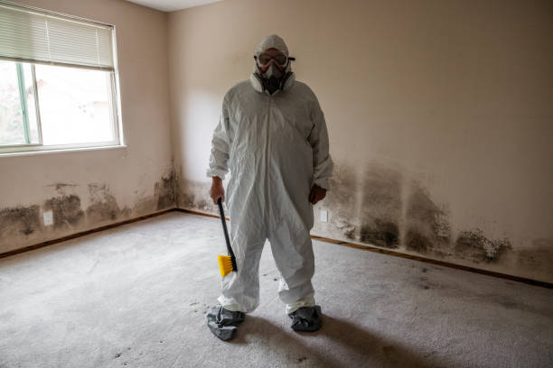 Best Industrial Mold Remediation in Oxford, NC